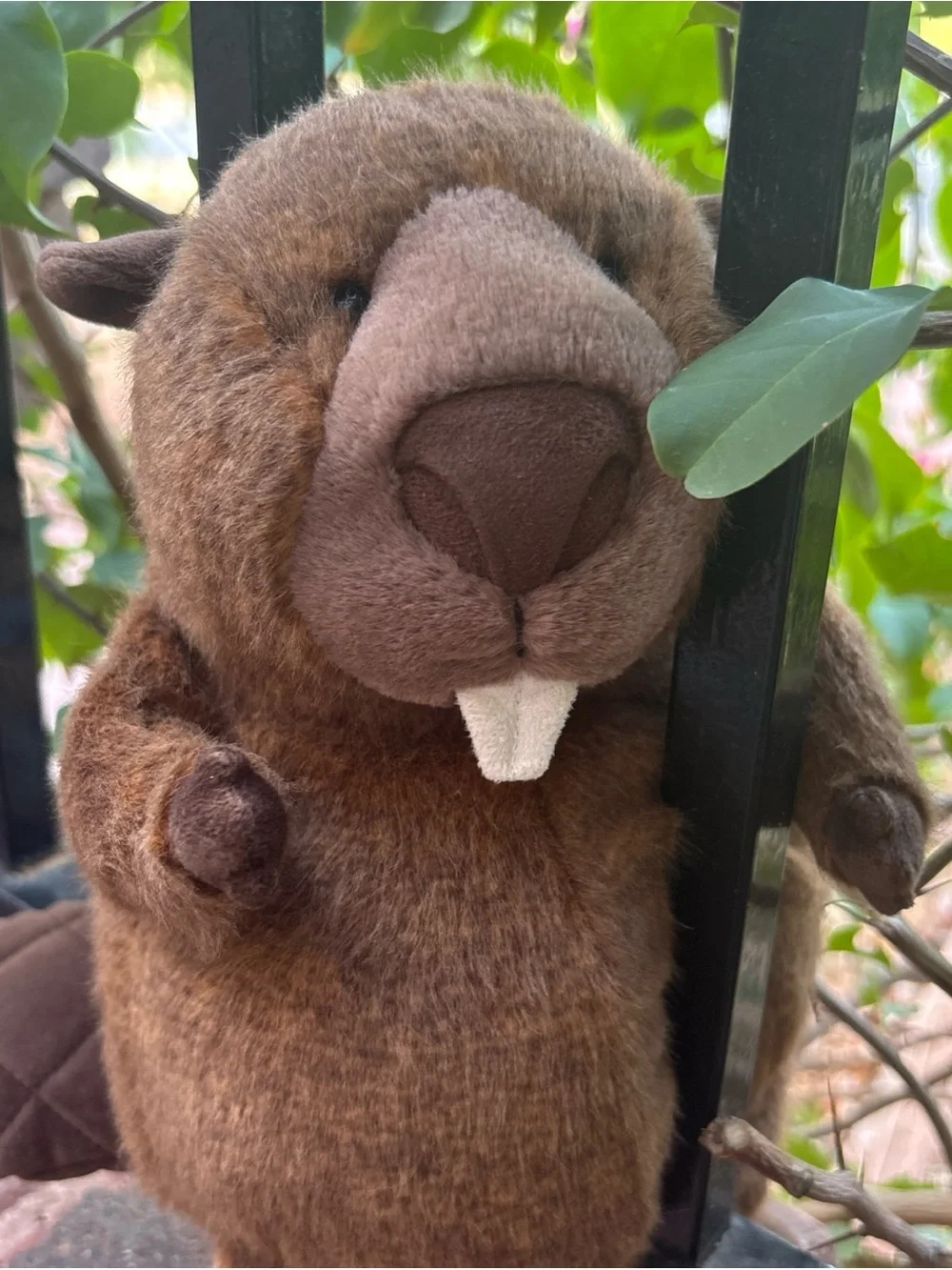Exclusive Jellycat BRIGGS BEAVER Canada NWT brown softy HTF